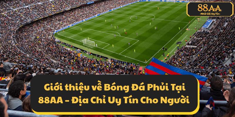 Giới thiệu về Bóng Đá Phủi Tại 88AA – Địa Chỉ Uy Tín Cho Người Yêu Môn Thể Thao Phong Trào