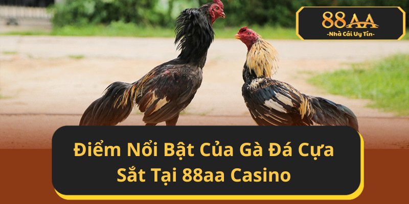 Những Điểm Nổi Bật Của Gà Đá Cựa Sắt Tại 88aa Casino
